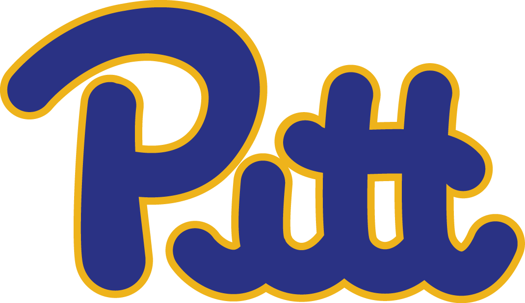 Pittsburgh Panthers 1973-1996 Wordmark Logo t shirts DIY iron ons v2